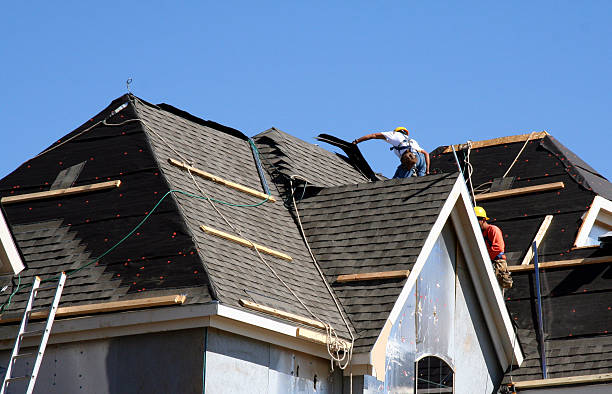 Best Roof Maintenance and Cleaning  in Union City, OH